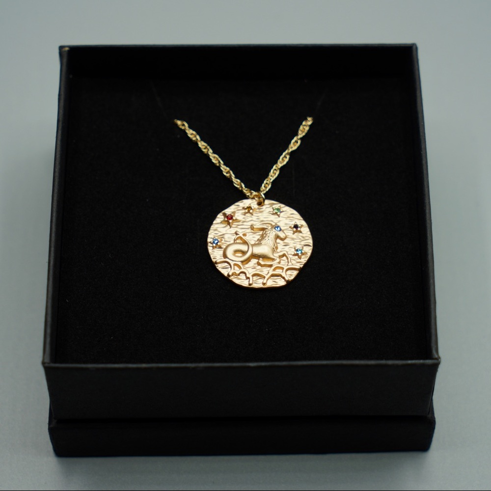 Zodiac CAPRICORN coin necklace horoscope astrology - Picture 2 of 6